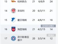 开云体育官网平台-不莱梅客场失利，积分榜位置下滑的简单介绍