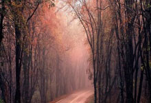 2025开云体育入口客服北京国安客场告负，球队情绪不佳，需要调整备战下一场