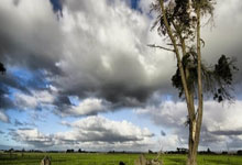 2025开云体育入口客服北京国安客场告负，球队情绪不佳，需要调整备战下一场