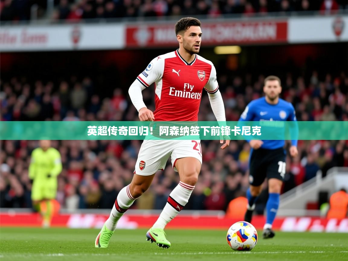 2025开云体育app安装英超传奇回归！阿森纳签下前锋卡尼克  第1张