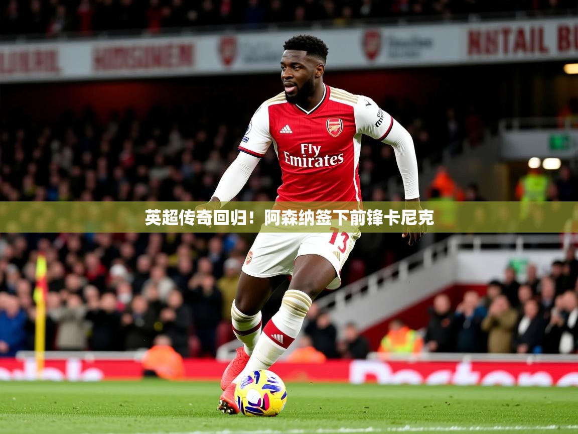 2025开云体育app安装英超传奇回归！阿森纳签下前锋卡尼克  第2张