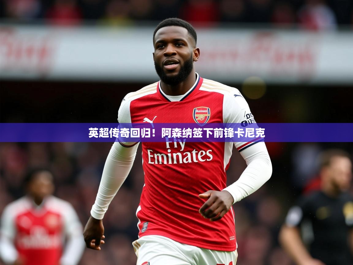 2025开云体育app安装英超传奇回归！阿森纳签下前锋卡尼克  第3张
