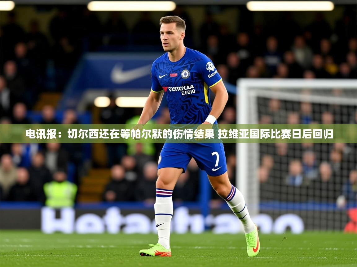 2025开云体育入口注册电讯报:切尔西还在等帕尔默的伤情结果 拉维亚国际比赛日后回归 第1张
